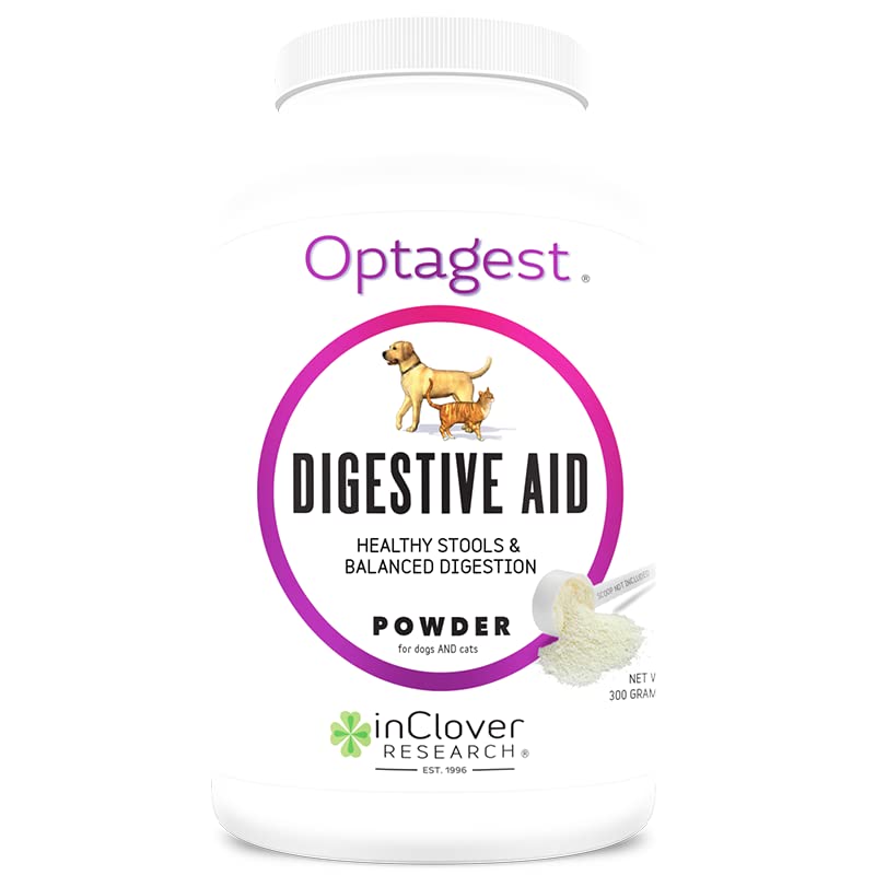 Top 10 Best Digestive Enzymes For Dogs Reviews & Buying Guide Katynel
