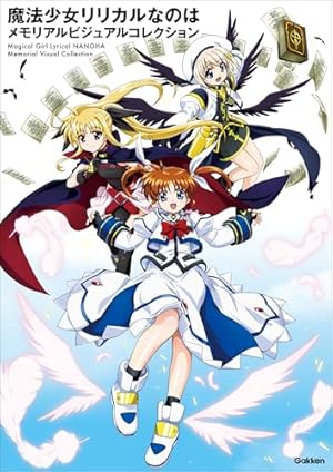 魔法少女リリカルなのはEXCEEDS（1） (水曜日のシリウス