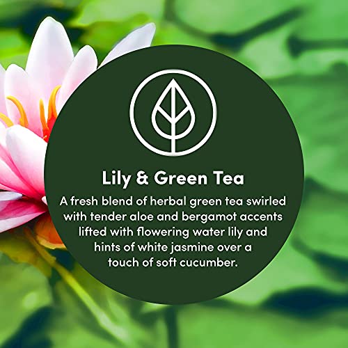 Image of Clean Revolution Multi Surface Cleaner Refill Supply, Non-Toxic, Eco-Friendly & Plant-Based, Ready to Use, Lily & Green Tea, 128 Fl Oz (1 Gallon)