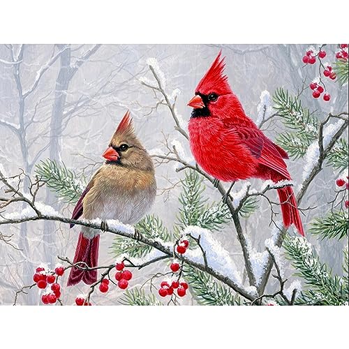 FHBUBPUP Diamond Art Painting Kits for Adults, Cardinal Birds Diamond Art Kits for Beginners, DIY Winter Gem Art Craft for Home Wall Decor, Great Gift for Kids 16x12inch