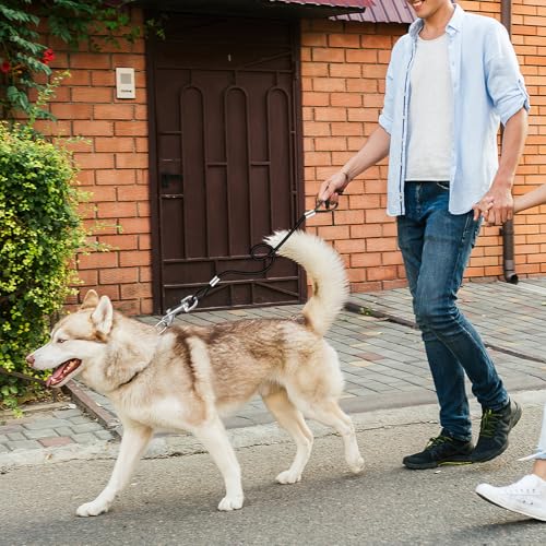 Andibro 2 Stück Kausichere Hundeleine, 66cm/26in Hundekette Leine Bissfest,Hausleine für Hunde mit Beschichtetem Stahlkabel Gepolstertem Griff Kettenleine für Große Kleine Hunde Training