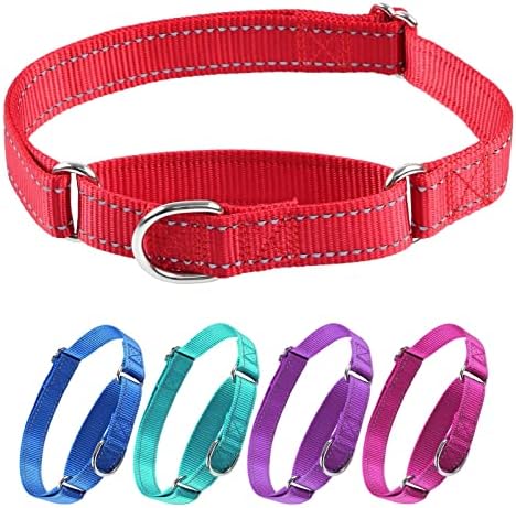 Rising paw Martingale Heavyduty Safty Nylon Dog Collar,Adjustable Nylon Reflective Collar ,Training Collar Classic Design Large Medium Dogs,Red,S