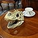HEINBOW T-rex Skull Dinosaur Head Trophy Faux Taxidermy Statue Tyrannosaurus Rex Head Skull Sculpture Fossil Figurine Home Desktop Man Cave Decor 7.6''Long