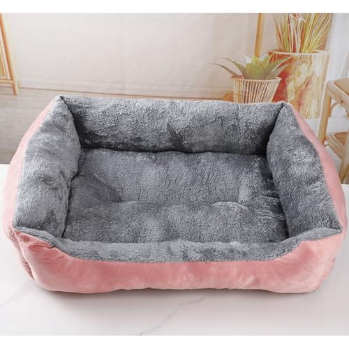 [ADSNS] J[2 ybgxbh t p 60*46 ӂӂ ^  H~p ybgNbV H ~  xbh ʔN Lpi Q 킢 􂦂 p^ ` łjȂ n