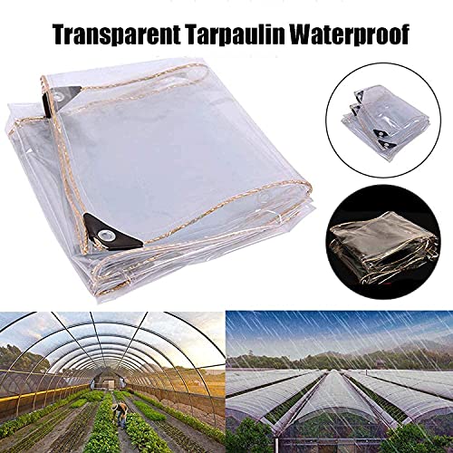 Lona pequeña impermeable 1x1m transparente protectora con ojales 7