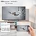 TD Systems - Smart TV Hey Google Official Assistant - Televisores 40...