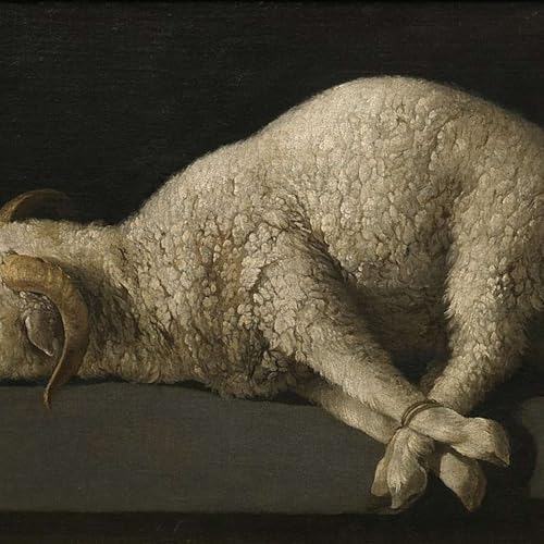 Biblical Meditation on &ldquo;Lamb of God&rdquo;, Second Sunday in Ordinary Time, 1.18.26.