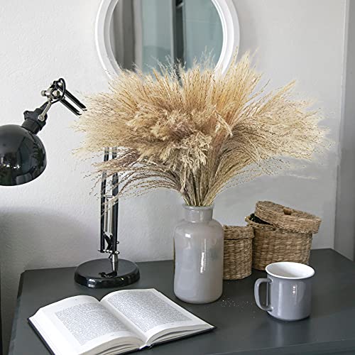 Uieke 300Pcs Natural Dried Pampas Grass Plume 17inch Tall Dried Flowers Bulk Reed Dried Plants for Wedding Flower Arrangements Farmhouse Wreath Door Centerpiece Home Décor Brown - Thumbnail 7