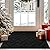 hicorfe Indoor Doormat,Front Back Door Mat TPR Backing Non Slip Mats 20"x31.5" Absorbent Resist Dirt Entrance Doormat Inside Floor for Entryway Washable Low-Profile (Black)