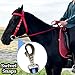 Kabahorze Horse Reins with Snaps, 1