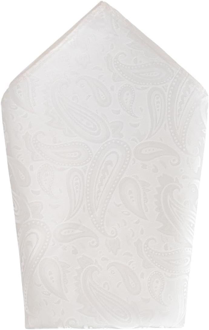 Trafalgar Men's Banbury Tone on Tone Paisley 12 Inch Silk Pocket Square