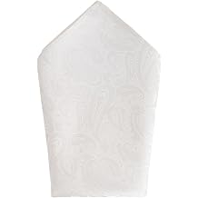 Trafalgar Men's Banbury Tone on Tone Paisley 12 Inch Silk Pocket Square