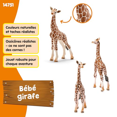Schleich Wild Life | Bébé Girafe 14751 | 4 x 7 x 12 cm