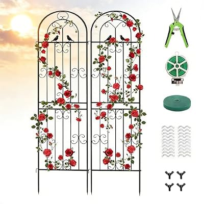2 Pack 86.7" H x 19.7" W Metal Garden Trellis for Climbing Plants Outdoor, Black Lattice Panel, Sturdy Plant Support for Roses, Vines, Cucumbers & Vegetables