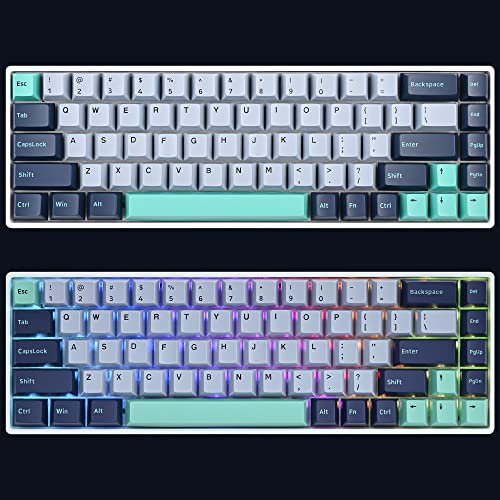 Image of GTSP 171-Keys Cherry Profile PBT Key Caps for Mechanical Keyboards, Double Shot Custom Keycap for US Layout 60% 65% 100% MX Switches (Hammerhead Shark)