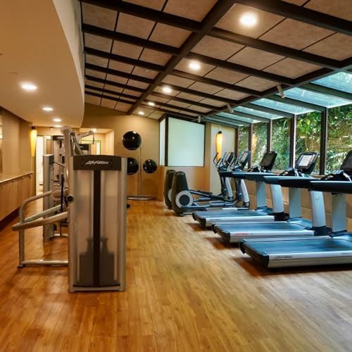 Exercise Beliefs - 2:22:26, 3.12 PM