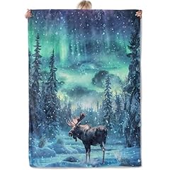 Moose Northern Lights
