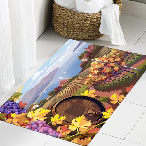JHAOUNUK Alfombrilla de Baño Absorbente Antideslizante Lavable,Alfombra de Ducha con Respaldo de Goma para Baño,Bañera,Bodega, Paisaje Rural Viñedo Agricultura Temporada de Vino Uvas,60x90cm