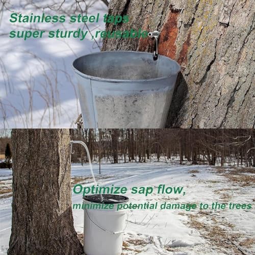 Edelstahl-Zapfhahn-Set, perfekt verarbeitet für schnelle Saftsammlung von Bäumen (Paket 1)
