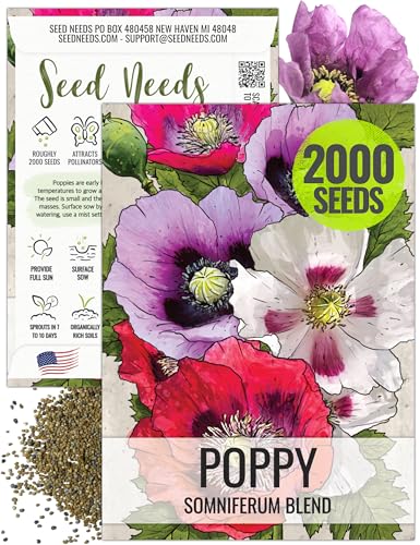 Seed Needs Mixed Somniferum Poppy Seeds for Planting - Heirloom