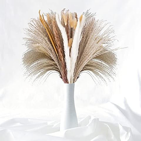 Pampasgras Trockenblumen, 120 Stück Natürliche Pampasgras Pflanzen Flauschige Wedel Getrocknete Blumen für Wohnzimmer Dekoration Boho Deko Wohnzimmer Schlafzimmer Gartenhaus Hochzeit Home Design Cover