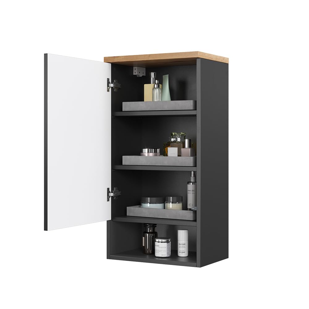 Vicco Armoire Murale Eden, Anthracite, 40x77.5cm | pour montage mural avec aménagement intérieur modulable