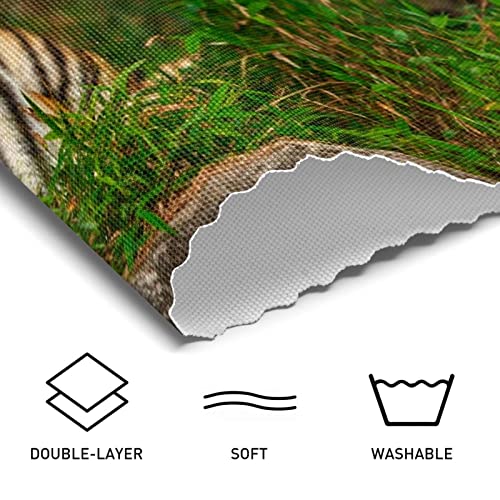 Placemats, Durable Placemats For Dining Table,Washable Kitchen Placemats Set Of 6, Animal Tiger #TOP1