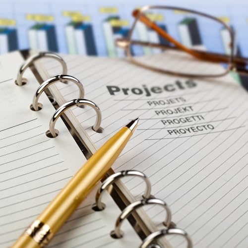 PATIKIL A6 6-Loch Ringbuchmechanismen, 6er-Set Ringbuchrücken Ersatz für Ringbuchplaner