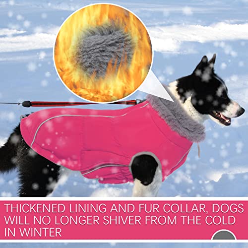 Mkubwaa Bright Dog Jacket Dog Coat-Fluorescent Pink Winter Dog Coats For Small Dogs-Fleece Dog Winter Coat-Waterproof Dog Coats For Medium Dogs-Dog Cold Weather Coats With Leash Hole-M #TOP3