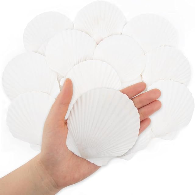 SKOOLOVE 16 Pizeas Conchas de Vieira Blancas, 7-10 CM Conchas Marinas Naturales de Playa
