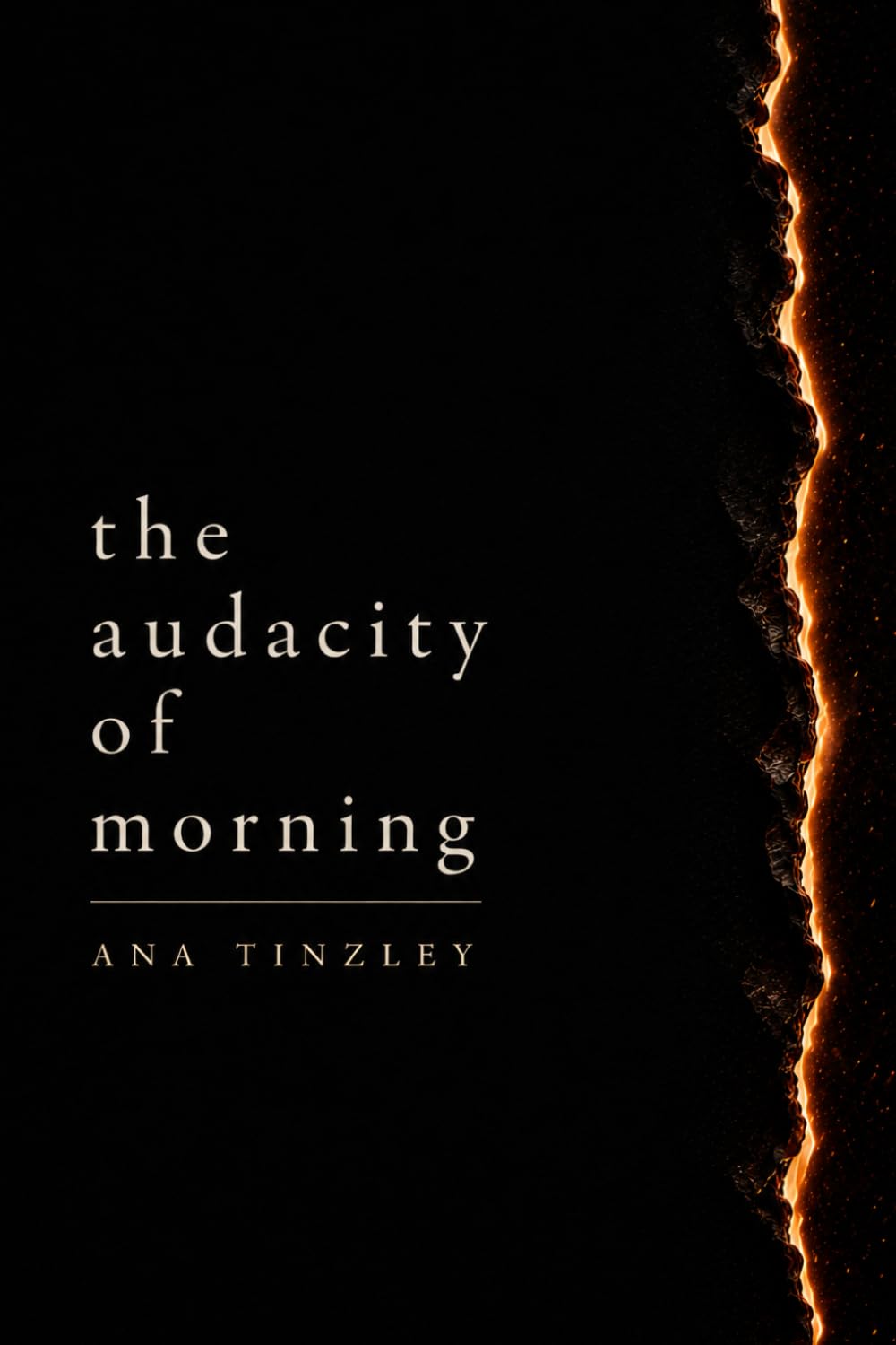 the audacity of morning: poems about surviving long enough to want life again