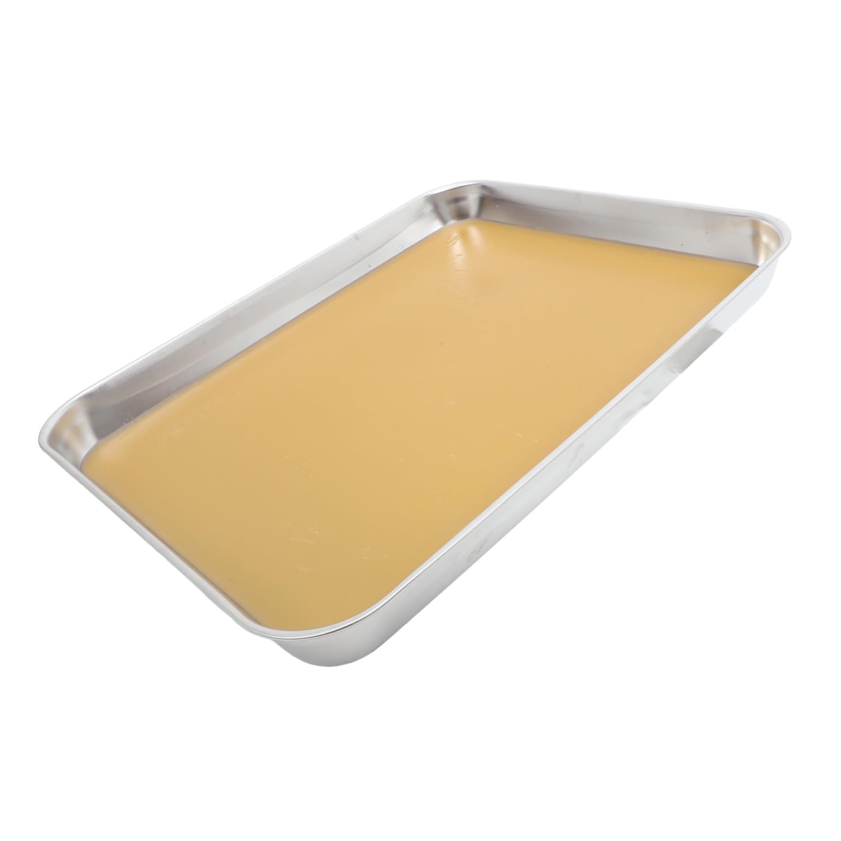 Cabilock Plateau De Dissection Métallique Pour Laboratoire Plateau Avec Cire Outil De Laboratoire De Dissection Métal