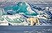 YANCONG Giochi E Puzzle 300 Pezzi, Orso Polare Iceberg Artico Puzzle