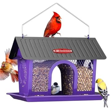 best bird feeders for purple martins that will surprise you 2 best bird feeders for purple martins