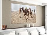 Acrylglasbilder 3 Teilig 120x100cm Sport Tier Kamel Kamele Dromedar Rennen Reiten Druck Acrylbild Acrylglas Acrylbilder Wand Bild 14E2086, Acrylgröße 8:gesamt 120x100cm