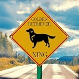 Cartel de metal de precaución Golden Retriever para perro, divertido Golden Retriever Xing, decoración de pared, letrero de advertencia de precaución Golden Retriever Crossing Art Sign de 10 x 10