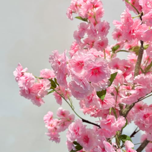 Garveehome Pink Cherry Blossom Tree, 5ft Tall Decorative Artificial Cherry Blossom Tree in Plastic Pot for Indoor Outdoor Home Office Party Wedding Housewarming Gift (Double Pole)