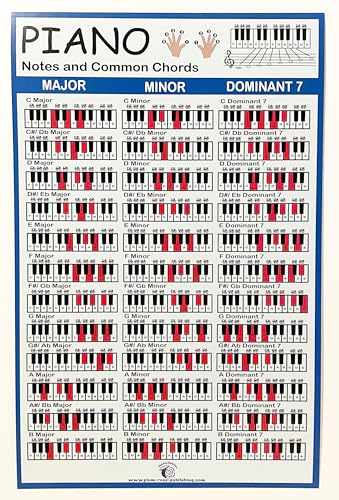 Pôster de notas musicais PLUM ROSE - 28 cm x 43 cm Pôster de notas de piano e acordes comuns - Refer