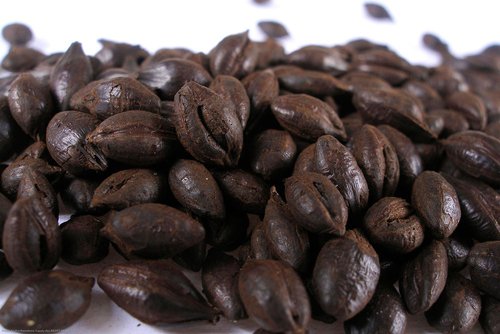5 lb Roasted Barley