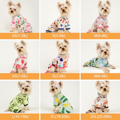 Ropa de primavera para perros pequeños ideal tardes de sofá 5