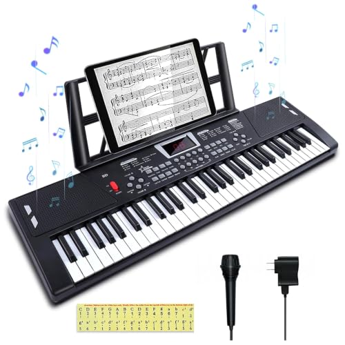 61 Key Keyboard Piano, Electric Piano Keyboard with Built-in Dual Speakers, External Microphone...