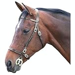 Shires Blenheim Plain Inhand Bridle - Havana Cob