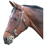 Shires