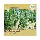 Samenliebe BIO Mangold Samen | Stielmangold Da Costa Bianca - weiß & winterhart - samenfestes BIO Saatgut