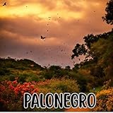 Llano Records
