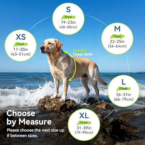 VIVAGLORY Sports Style Hundeschwimmweste, Rettungswesten Für Hunde Bootfahren, Auftrieb & Schwimmhilfe, Schwimmweste, M, Neon-Gelb