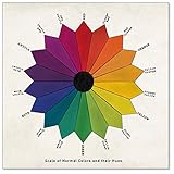 Vintage Color Wheel Print for Art Studio, Classroom, or Home. Fine Art Paper, Laminated, Framed, or w/Hanger. Multiples Sizes