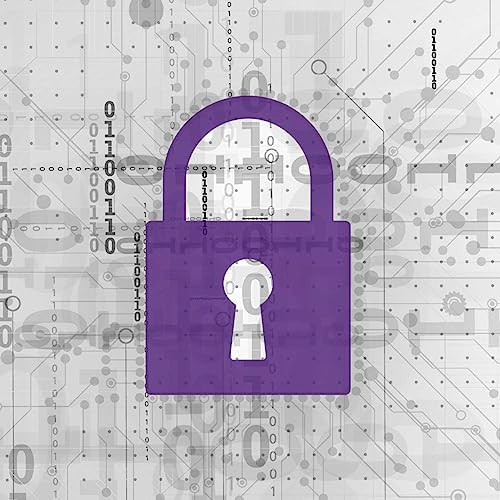 Page de couverture de Building Security In - The Next Decade