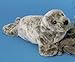 Douglas Speckles Monk Seal Plush Stuffed Animal