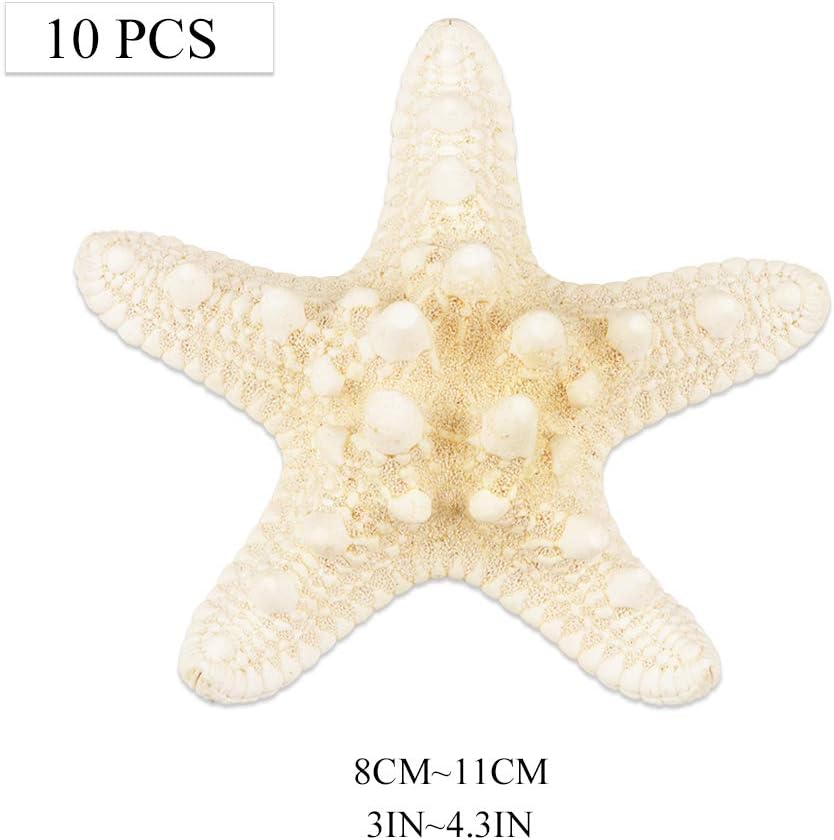 Jangostor 10 PCS Large Knobby Starfish 3-4.3 Inch Ocean Beach Natural Starfish Perfect for Beach Theme Party, Wedding Decor, Home Decorations, DIY Crafts, Christmas Decor
